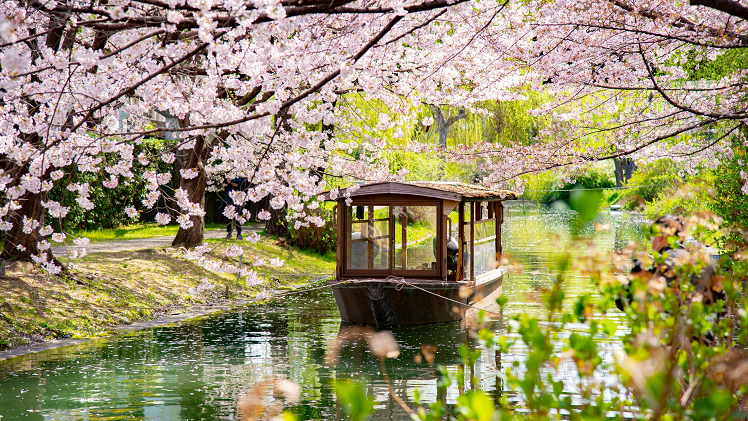 when is best time to visit japan